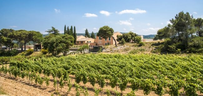 Grenache