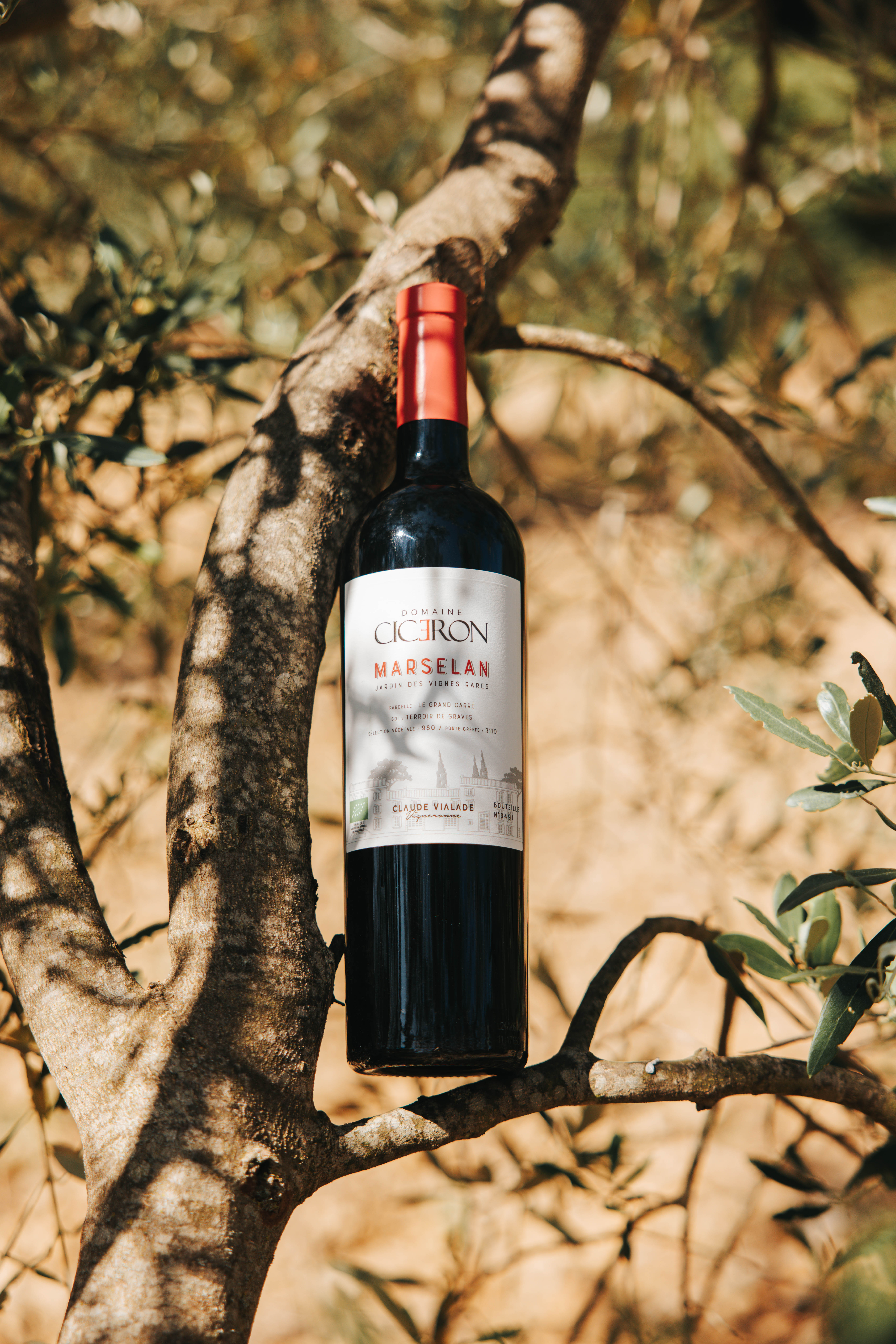 Le Jardin des Vignes Rares - Marselan