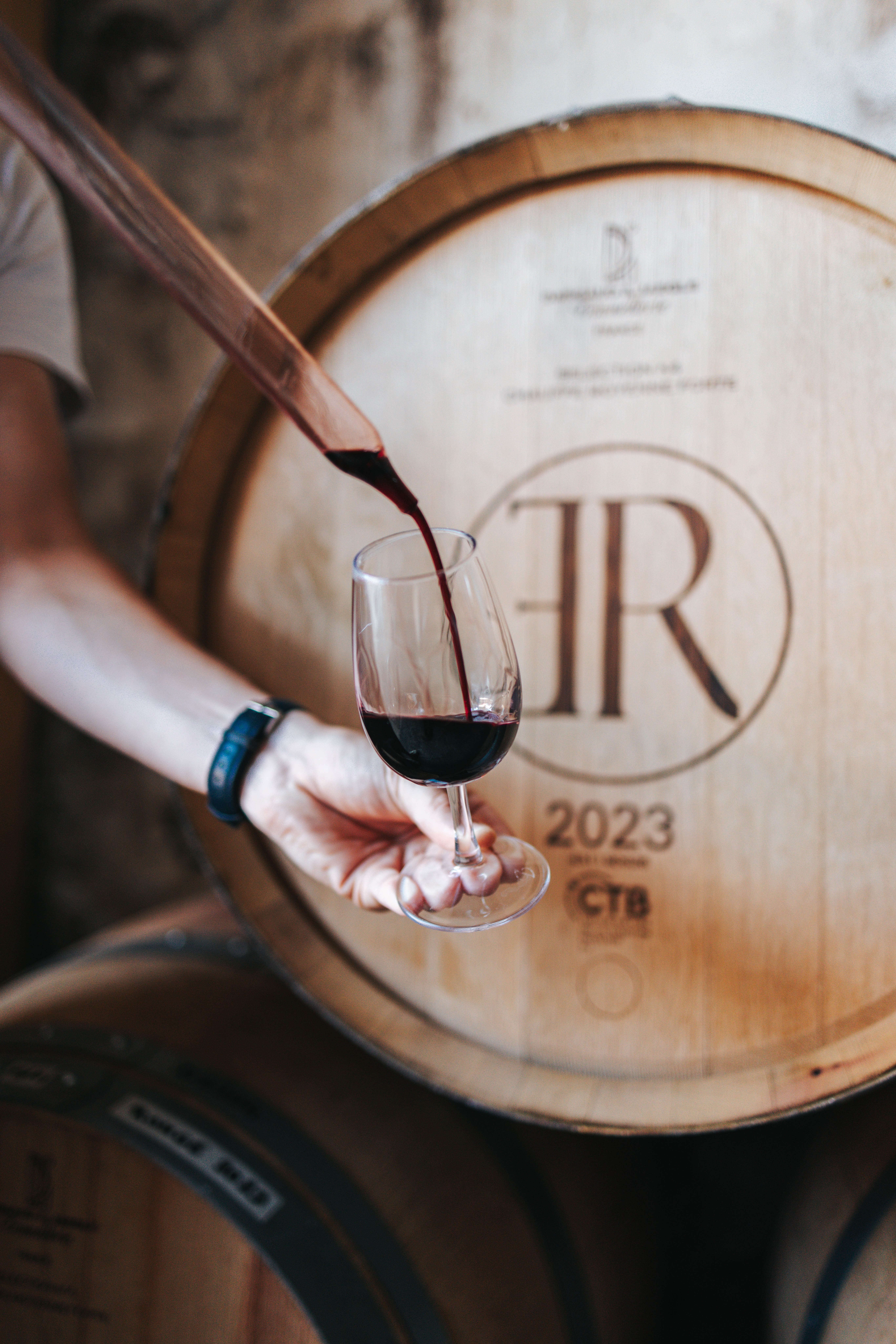 Le Jardin des Vignes Rares - Marselan