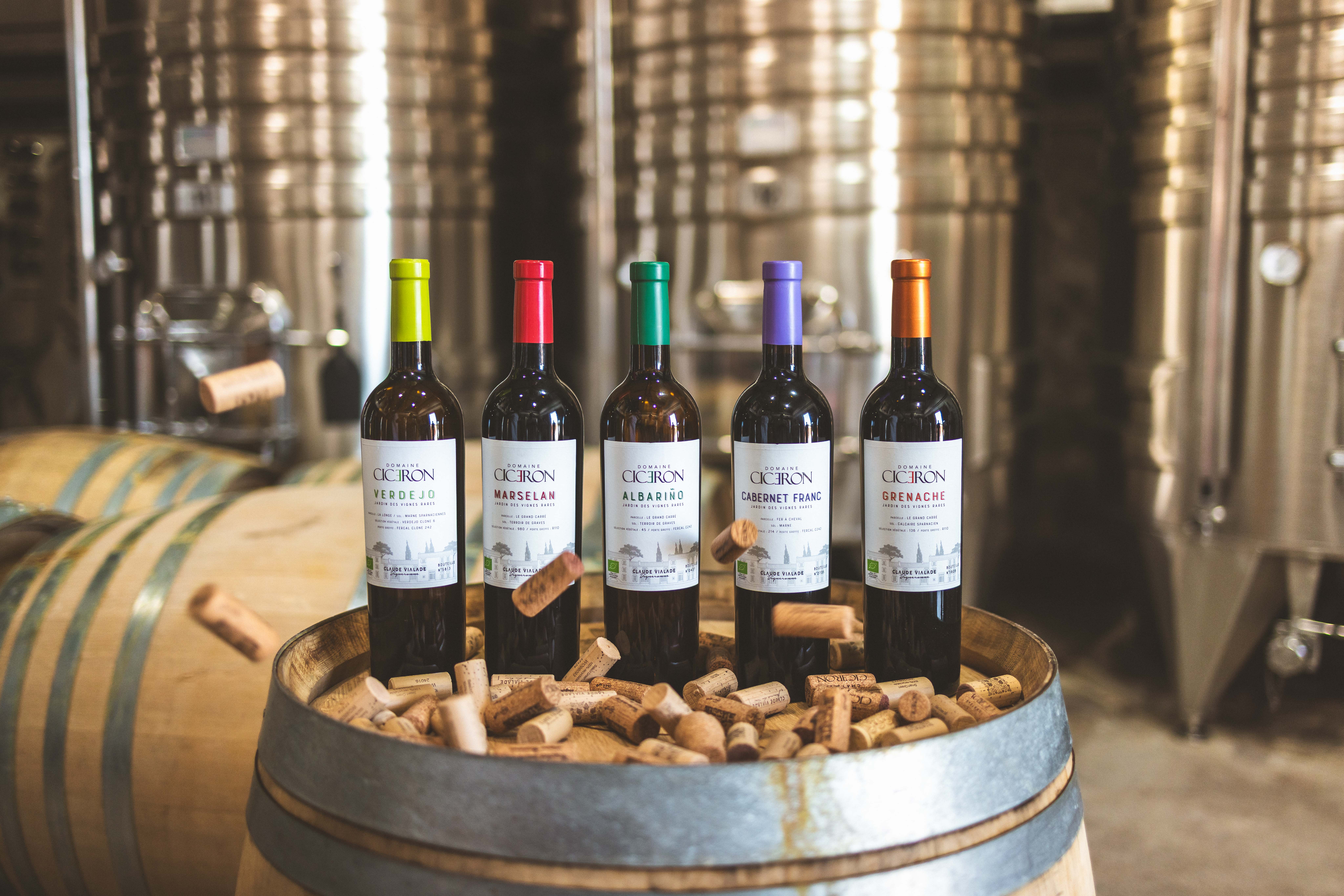 Le Jardin des Vignes Rares - Marselan